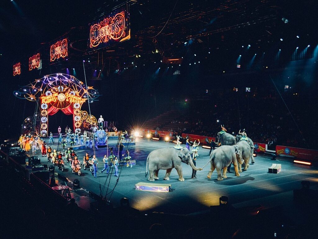 Circus